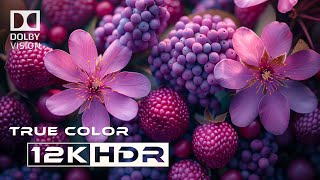 Epic Visual Feast 12k HDR 60FPS | Dolby Vision