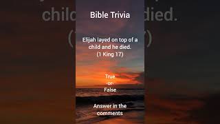 #178 Bible Trivia