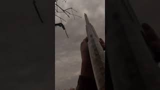 Smoked a Ringneck!  #subscribe  #shorts #duckhunting #duckseason