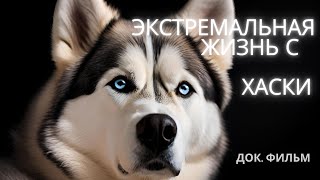 ЭКСТРЕМАЛЬНАЯ жизнь с ХАСКИ #animals #dog #собака #cinema #хаски #пес #pets #funny #husky  #movie