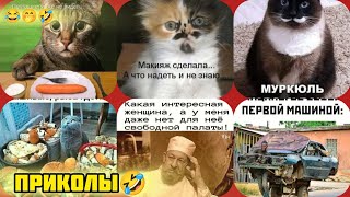 есть свободная палата смотри смешные картинки мемы котики приколы  🤣