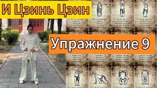 Девятое упражнение И Цзинь Цзин. Обновление связок и сухожилий. Урок 4