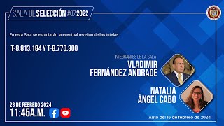 Sala de selección #07 de 2022: T-8.813.184 y T-8.770.300