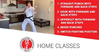 Kudo Home Class 9 - Punches in fighting position with forward and back steps.