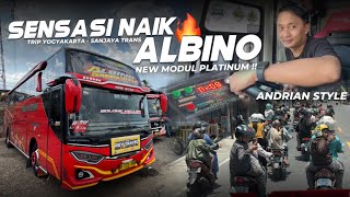 GOKIL‼️ALERGI JALUR KIRI🥵Naik Sanjaya Trans “Albino” Full Telolet, Full Oyag di Jalanan Yogyakarta !