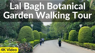 Lal Bagh Botanical Garden Bengaluru Walking Tour ASMR Video || Beautiful Bengaluru | 4k video