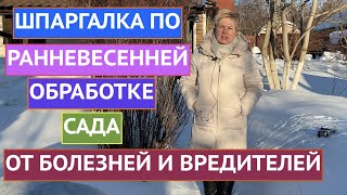 ЧЕМ ОБРАБОТАТЬ САД РАННЕЙ ВЕСНОЙ! ПРЕПАРАТЫ, КОТОРЫЕ БУДУТ РАБОТАТЬ ДАЖЕ ПРИ НИЗКИХ ТЕМПЕРАТУРАХ!