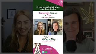 Watch the whole episode on my channel! #petchockingpreventionday #dog #doglover #dogsrule #dogmom