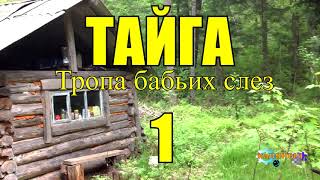 ОТШЕЛЬНИКИ | ЖИЗНЬ В ТАЙГЕ 1 из 16