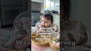 7 Months Weaning #babyledweaning #weaning #blw #blwideas #weaningbaby #7months #babynutrition