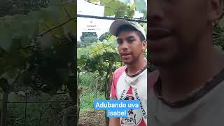 Mas uma adubação #shorts #youtube #roça #youtubeshorts #natureza #youtubevideos