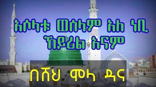 የደመቀ ሀድራ ||አሶላቱ ወሰላም አለ ነቢ ኸይሪል አናም|| በዳናው ሙሂብ  በሸህ ሞላ ዳና Ethiopian menzuma