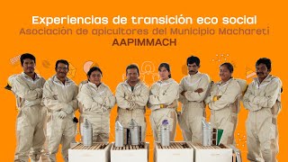 Experiencias de transición eco social | AAPIMMACH