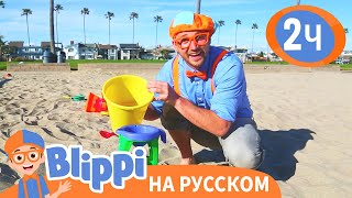 Учим цвета и цифры на пляже | Изучай этот мир вместе с Блиппи | Blippi Russian