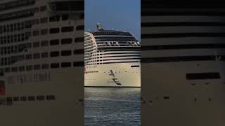 Do you want to go on a cruise ship? #short  #cruiseship #seafarer