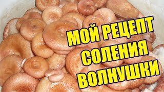 Как я солю грибы. Мой рецепт соления волнушки.