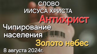 Слово Иисуса Христа "Антихрист. Чипирование населения. Золото небес" 08.08.24 Апостол Слова