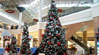 MJ fan Angie at the Mall.  another view of the first Christmas tree..