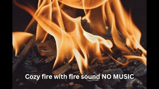 Cozy fire with fire sound NO MUSIC. Perfect for all the seasons. Just watch and relax.