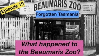 What happened to the Beaumaris Zoo?  Forgotten Tasmania Episode 19