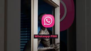 Whatsapp Pink Scam: Stay Safe #shorts #viral