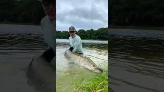 ARAPAIMA FLIGHT IN THE JUNGLE! 😱