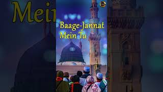 बागे ज़न्नत में तू #islamicvideo #shorts #qawwali #ramzanmubarak