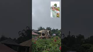 wisata terbaru ter hits dan terpopuler Viral di Bali the blooms garden #shorts #vlog #firal #viral