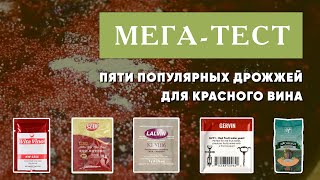 Мега-тест 5 популярных винных дрожжей для красного вина. Часть 1