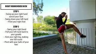 Muay Thai Roundhouse Kick with Coach Mus