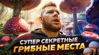 СУПЕР СЕКРЕТНЫЕ ГРИБНЫЕ МЕСТА