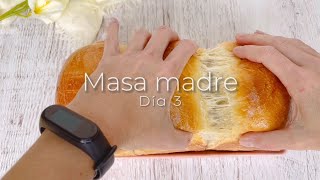 Cómo hacer masa madre en casa: Día 3