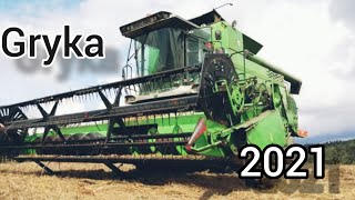 Zbiór gryki || 2021 || Deutz-fahr w akcji ||