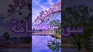 Beautiful Recitation Surah. Al-Qiyamah سورة القيامة #quran #surah #religion #viral