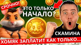 ⚠️ HAMSTER KOMBAT - СРОЧНО! ЭТО ШОК 🔴 НАС ВСЕХ НЕ ЗАСКАМИЛИ❗️ХОМЯК НАМ ЗАПЛАТИТ❗️ЭТО НЕ СКАМ ВЕКА❗️