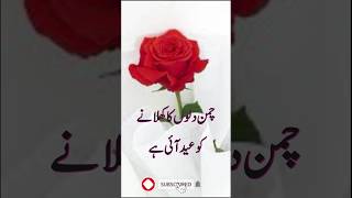 Classic Urdu Poetry - Eid Poetry #urdupoetry #besturdupoetry #best #eid #eidspecial