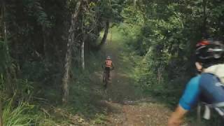 Foressa Trails AVP