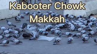 Kabooter Chowk Makkah | Near Bab Abdulaziz Gate | Masjid e Haram | Makkah | Saudi Arabia