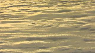 Plane flying above clouds