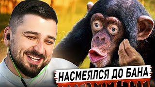 HARD PLAY РЕАКЦИЯ НА ЛУЧШИЕ СМЕШНЫЕ ВИДЕО ПРИКОЛЫ ЗА ВСЁ ВРЕМЯ #5