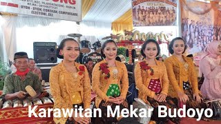 Seni Tayub Karawitan Mekar Budoyo 2 live ds Pulerejo