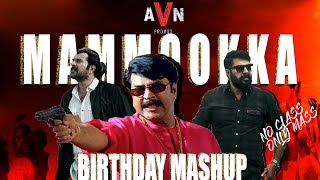 Mammootty Birthday Special Mashup 2020 | Happy Birthday Mammookka | AVN Promos