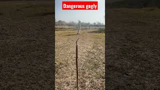 gogly ball swing