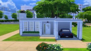 The Sims 4 Speed Build: The Doris