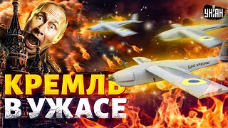 Кремль В УЖАСЕ от этих "птичек"! Дроны потрошат всю Россию: украинский ВПК разогнался