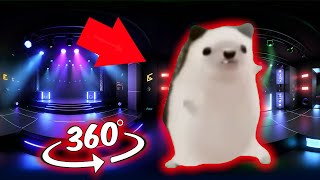 🤩🎶 360 VR Hedgehog dancing meme | Mother Father Gentleman Hedgehog