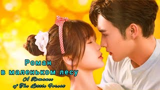 🪴Роман в маленьком лесу🪴A Romance of The Little Forest🪴Роман маленького леса