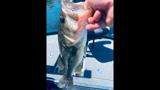 BFL Super Lake Ozark - Day 3 Practice