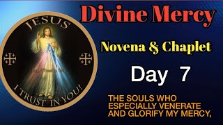 divine mercy novena day 7- Novena divine mercy and chaplet day 7,2024