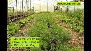 A Day in the Life on an Organic Farm + Living in an RV - Lifestyle Vlog - Adventures Across